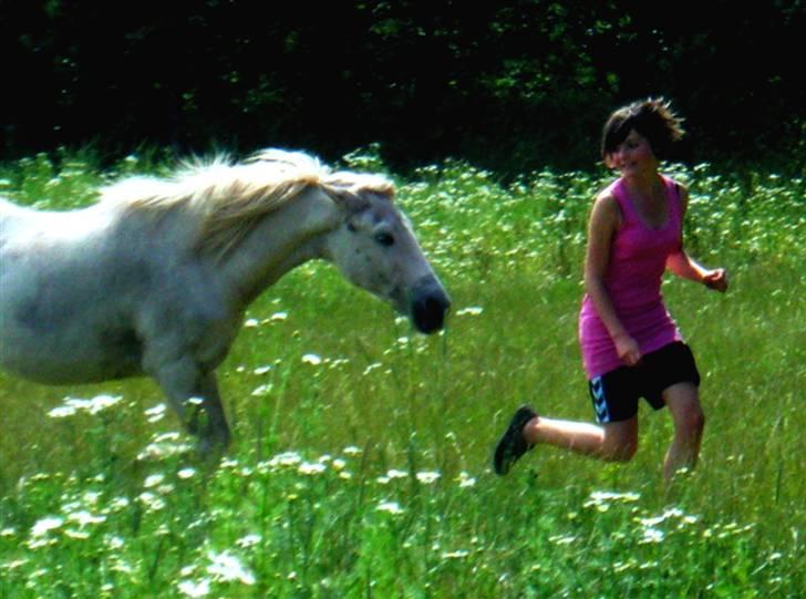 Anden særlig race Laika  - #13 My horse don´t have to follow me but she does cause we have love that is stronger than any thing :* [Foto-Katrine] billede 13