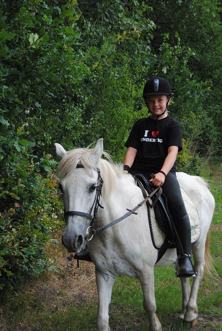 Anden særlig race Laika  - # 14[Foto-Katrine] billede 14