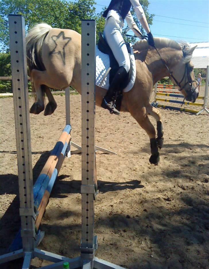Fjordhest Columbine Bøgely - Columbine og jeg til springstævne. Kender fejlene men omg Colum er sej! billede 13