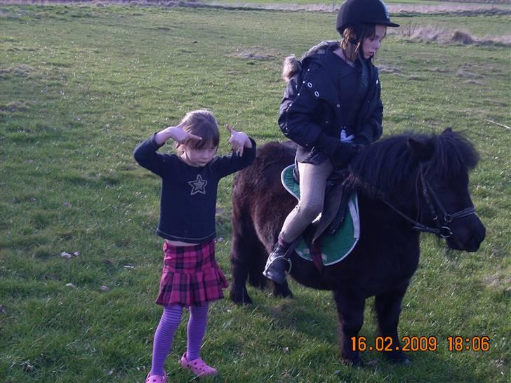 Anden særlig race Olga *solgt* billede 9