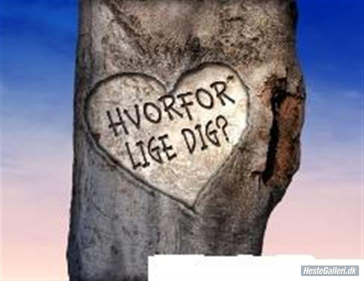 Anden særlig race o´malley<3<3 (miss you)  billede 14