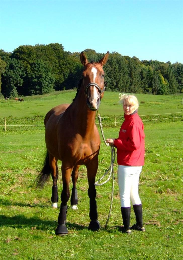 Dansk Varmblod Diplomat´s Charmaine (solgt) - Charmaine og jeg til stævne billede 3