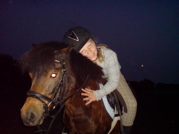 Anden særlig race sunflower billede 18