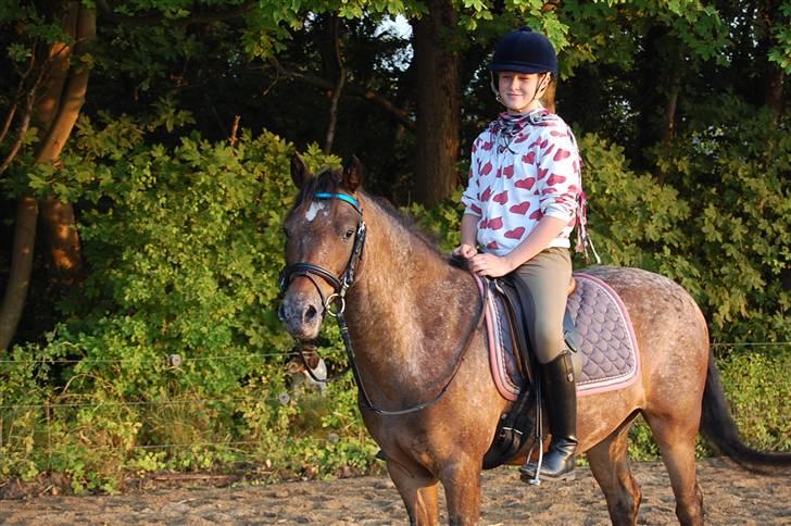 DSP Satisfaction "Solgt" billede 9