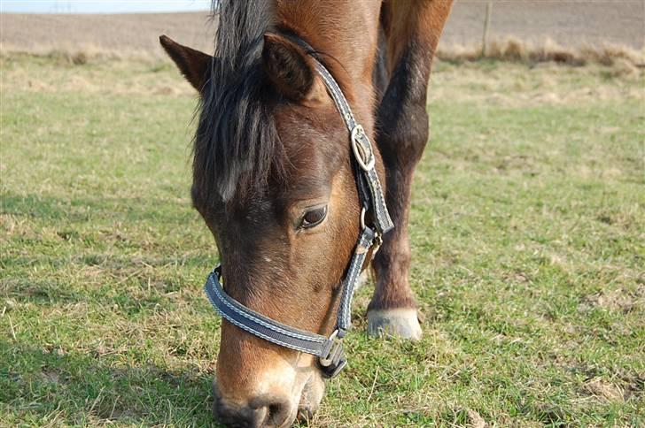 DSP Satisfaction "Solgt" billede 10