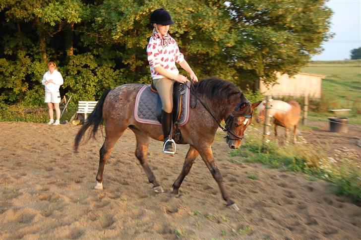 DSP Satisfaction "Solgt" billede 12