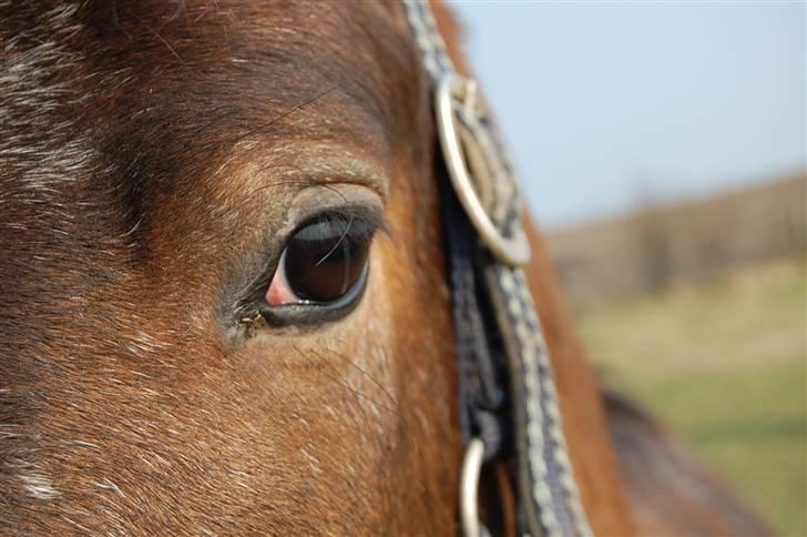 DSP Satisfaction "Solgt" billede 13