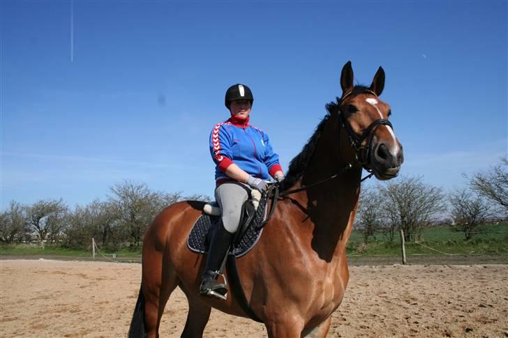 Holstener C-Hightower Højgård billede 2