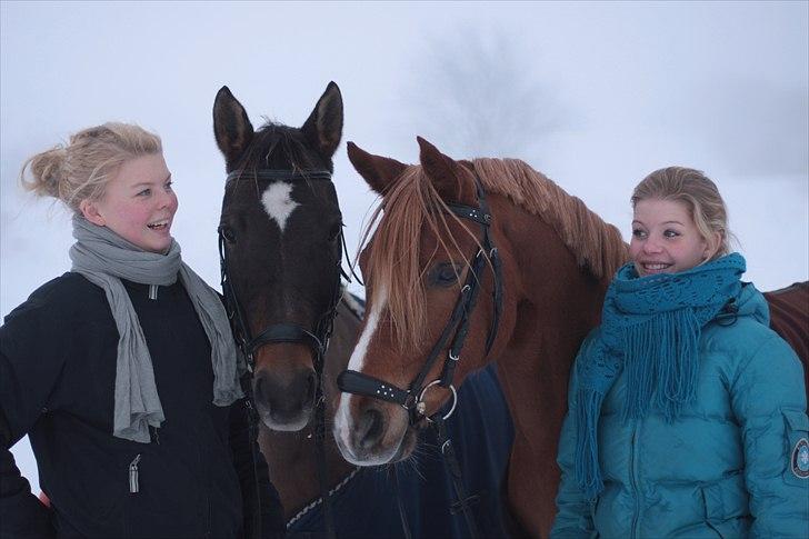 Anden særlig race  Quick Star¤solgt&savnet¤ - Fra venstre; Mig Julie, Kvikki, Buster og Sofie :D De bedste <3 Elsker jer!          billede 18