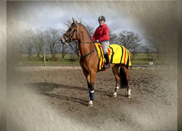 Holstener C-Hightower Højgård billede 7