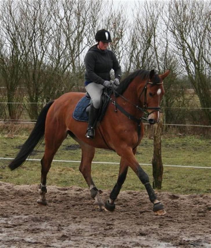 Holstener C-Hightower Højgård billede 8