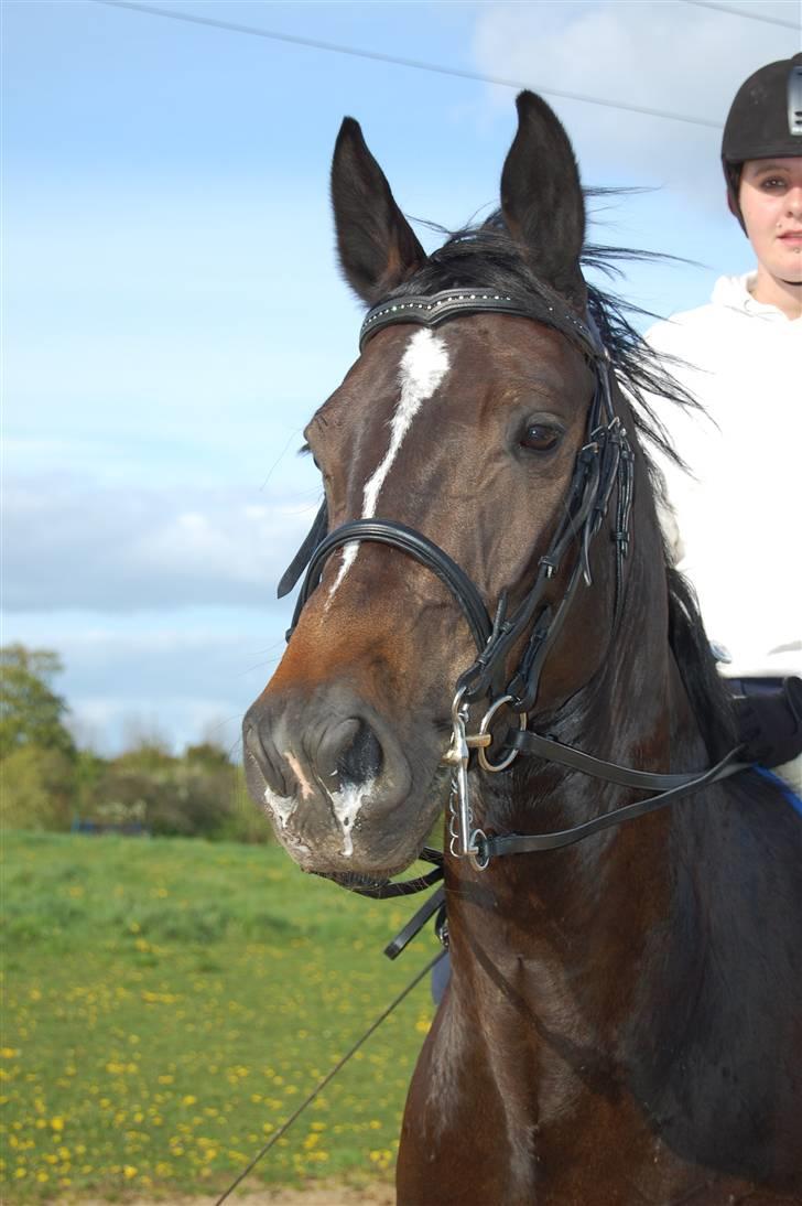 Holstener Clarissa R.I.P elsker dig billede 2