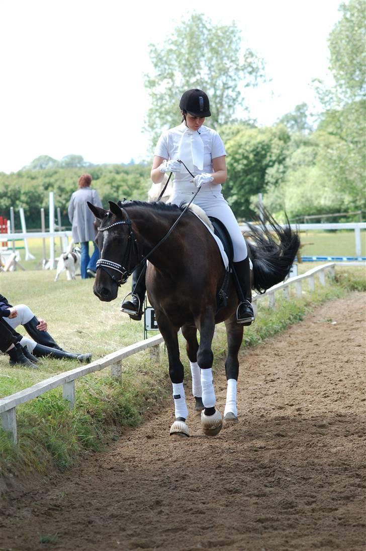 Holstener Clarissa R.I.P elsker dig billede 3