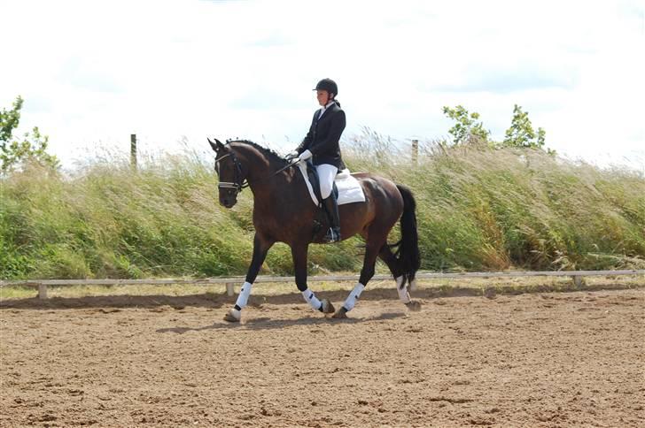 Holstener Clarissa R.I.P elsker dig billede 4