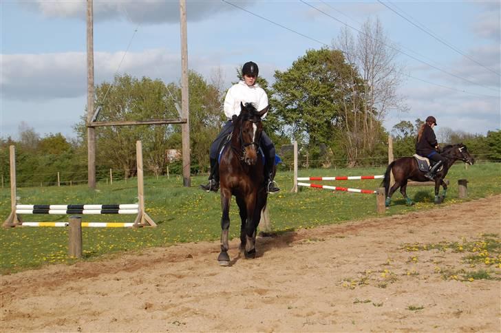 Holstener Clarissa R.I.P elsker dig billede 5