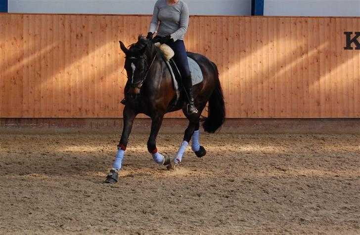 Holstener Clarissa R.I.P elsker dig billede 6