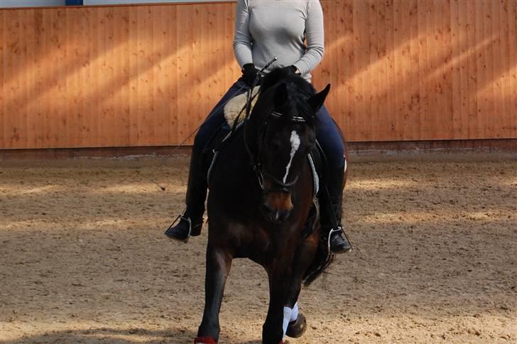 Holstener Clarissa R.I.P elsker dig billede 7