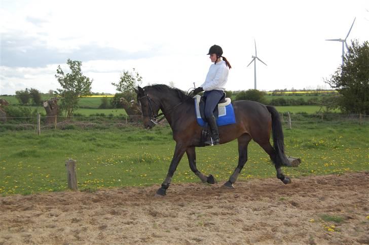 Holstener Clarissa R.I.P elsker dig billede 8