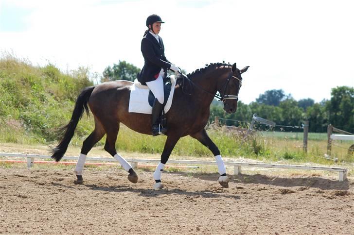 Holstener Clarissa R.I.P elsker dig billede 9