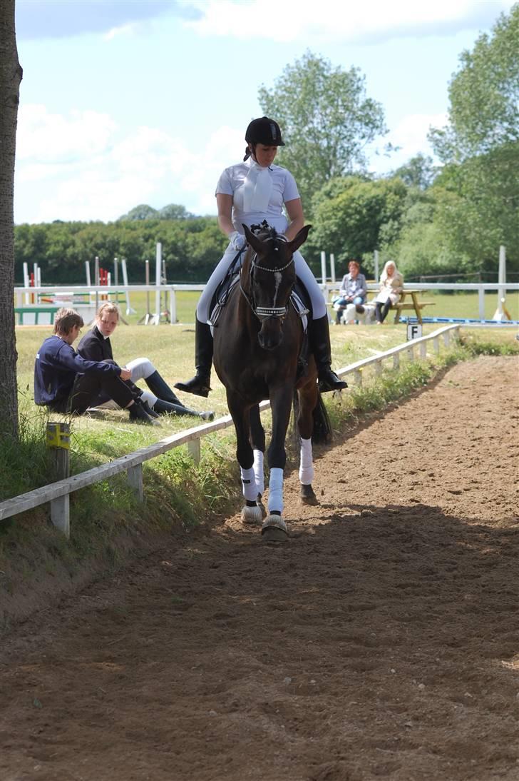 Holstener Clarissa R.I.P elsker dig billede 10