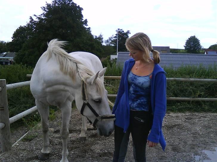 Anden særlig race Pacha Rex Arabi billede 1