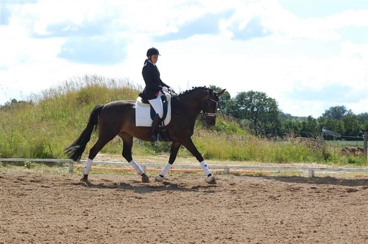 Holstener Clarissa R.I.P elsker dig billede 15