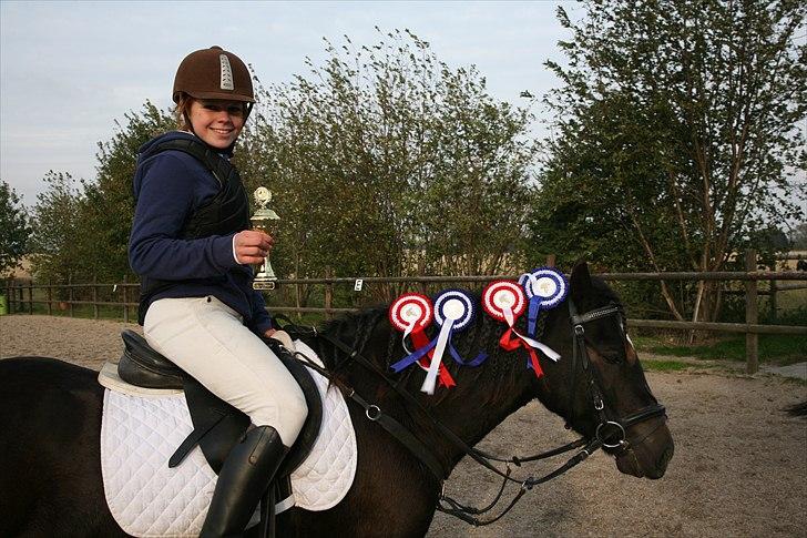 New Forest Bjernagergårds Mischa - Klubmester 2010 Teestrup 4H billede 9