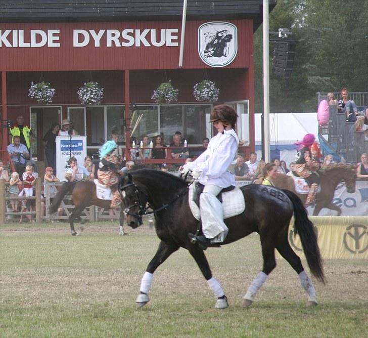 New Forest Bjernagergårds Mischa - NF Show Roskilde 2010 billede 10