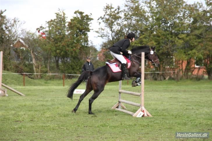 Traver Fame <3 Solgt. - LC i Herslev-09 billede 16