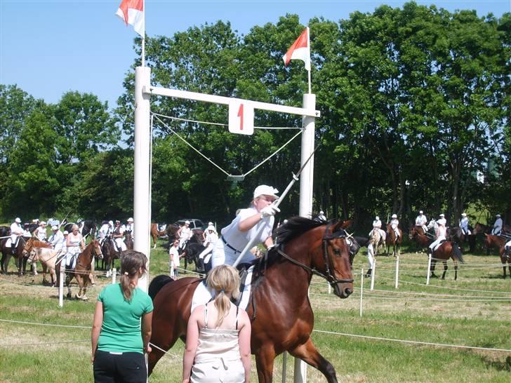 Oldenborg Bruno - rider ik ham mere - Ringridning i Svenstrup 2008. :) billede 8