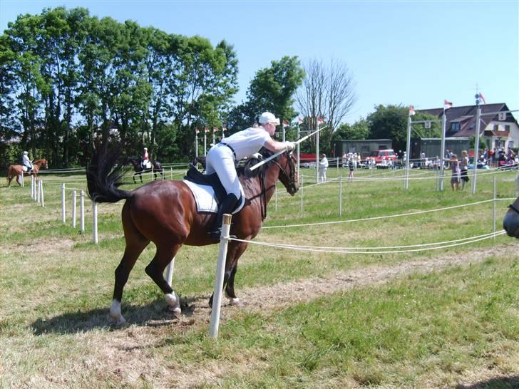 Oldenborg Bruno - rider ik ham mere - I svenstrup 2008 billede 10