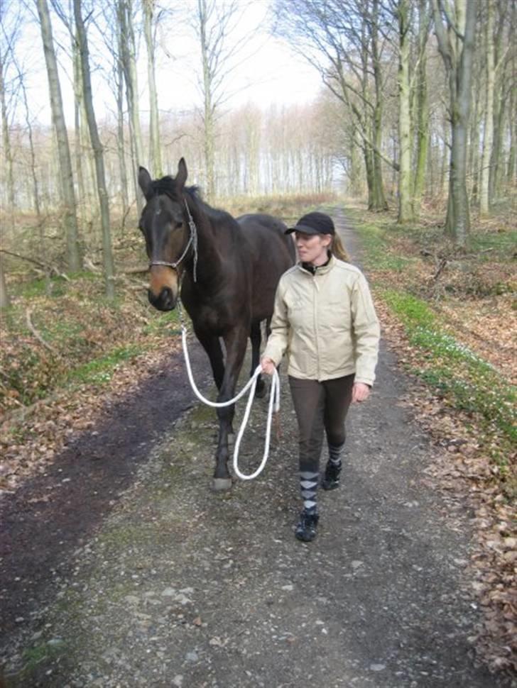 Dansk Varmblod Niendamgaards Morgan - Skovtur påsken 2009 billede 10