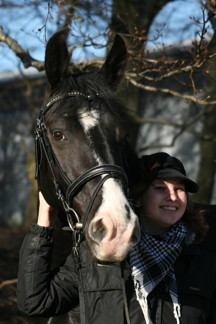 Oldenborg Thuffy af Ulstrup billede 1