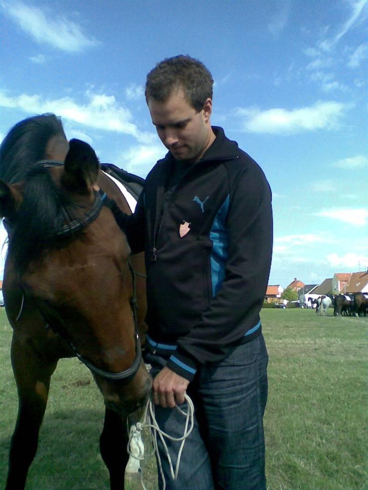 Oldenborg Bruno - rider ik ham mere - Min skat der snakker med Bruno. Han kan godt lide ham. Bare bedst fra jorden :b billede 19