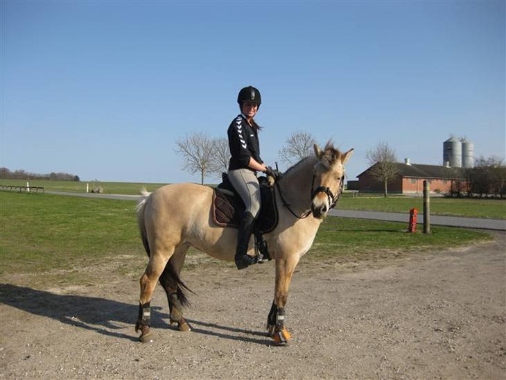 {{currentPhoto.altText}} billede {{currentPhoto.number}}