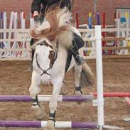 Tinker Ferdinand Von Basse *RIP*