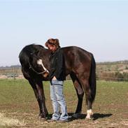 Anden særlig race Houmgaards Shakira