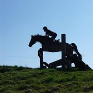 Holstener Kanett - solgt