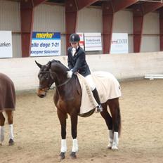 Dansk Varmblod Valløs Medea