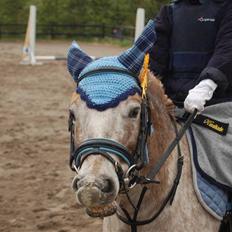 Anden særlig race | Victor.