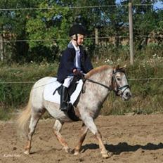 Anden særlig race | Victor.