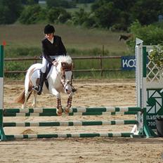 Anden særlig race Tøsen Red SOLGT. <3