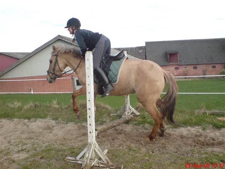 Anden særlig race Freja!! <3 Du elsket.. - JEG JEG AT HUN LÆNER SIG ALT ALT FOR LANGT FREM OG JEG VED IKKE HVAD!! :) billede 10