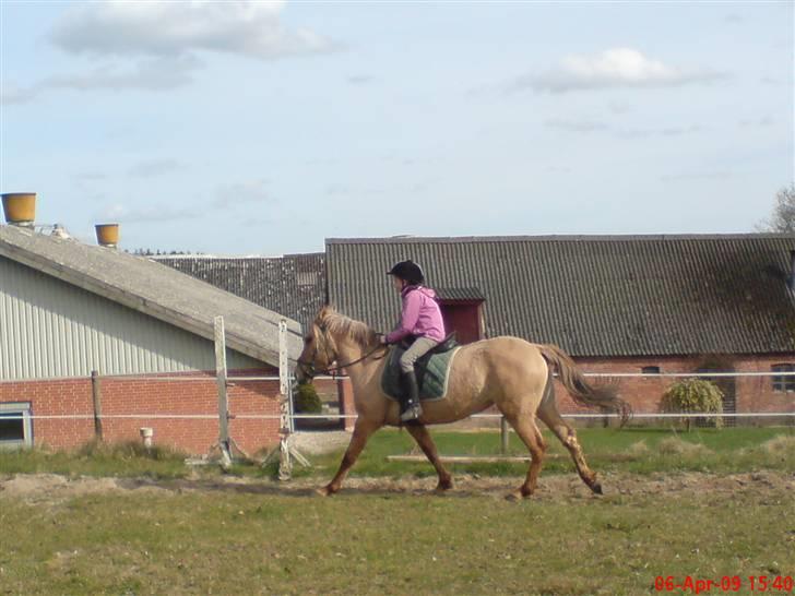 Anden særlig race Freja!! <3 Du elsket.. - GAMMELT billede 11