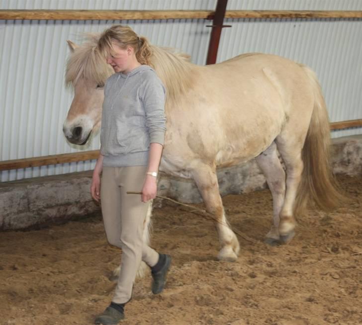 Fjordhest Claus :D - 14) .. Claus og jeg, Foto: Kathrin P billede 14