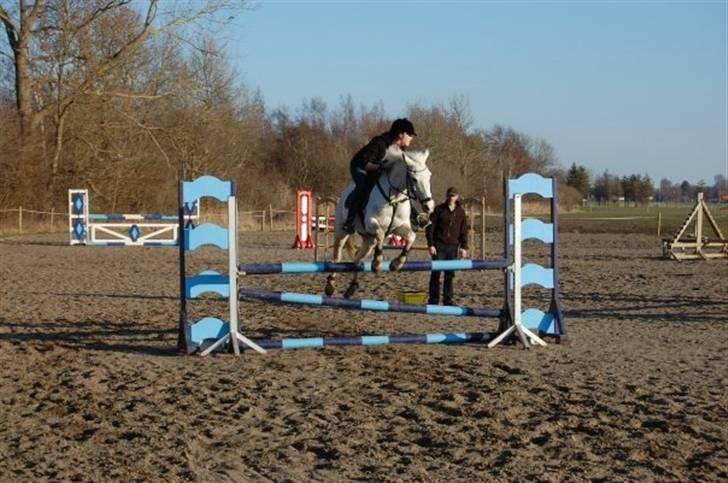 DSP sharon billede 19