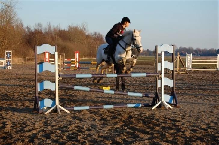 DSP sharon billede 20