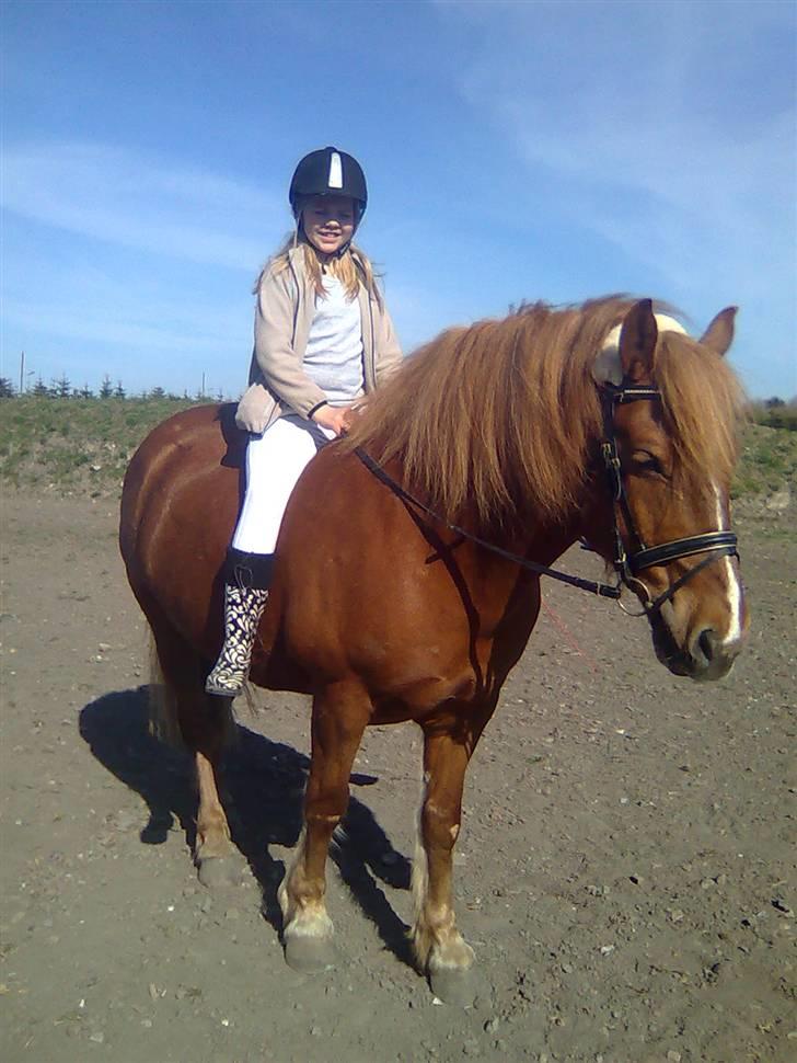 Anden særlig race Lukas  - endelig er vi færdige med at ride billede 2