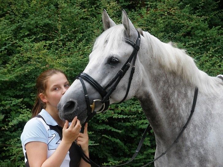 Holstener Casoni BS SOLGT - Elsker dig  billede 2