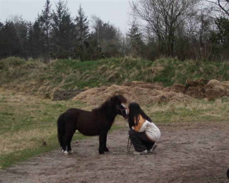 Anden særlig race Møllegårdens Kaspian - Møøøøzzzzz!!! ;-) billede 10